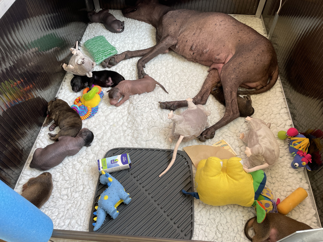 E64A4222-FC0C-4A24-BAD3-59BD45158F35