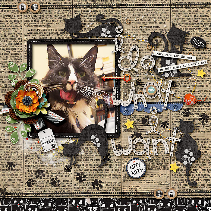 Cats-Meow.jpg