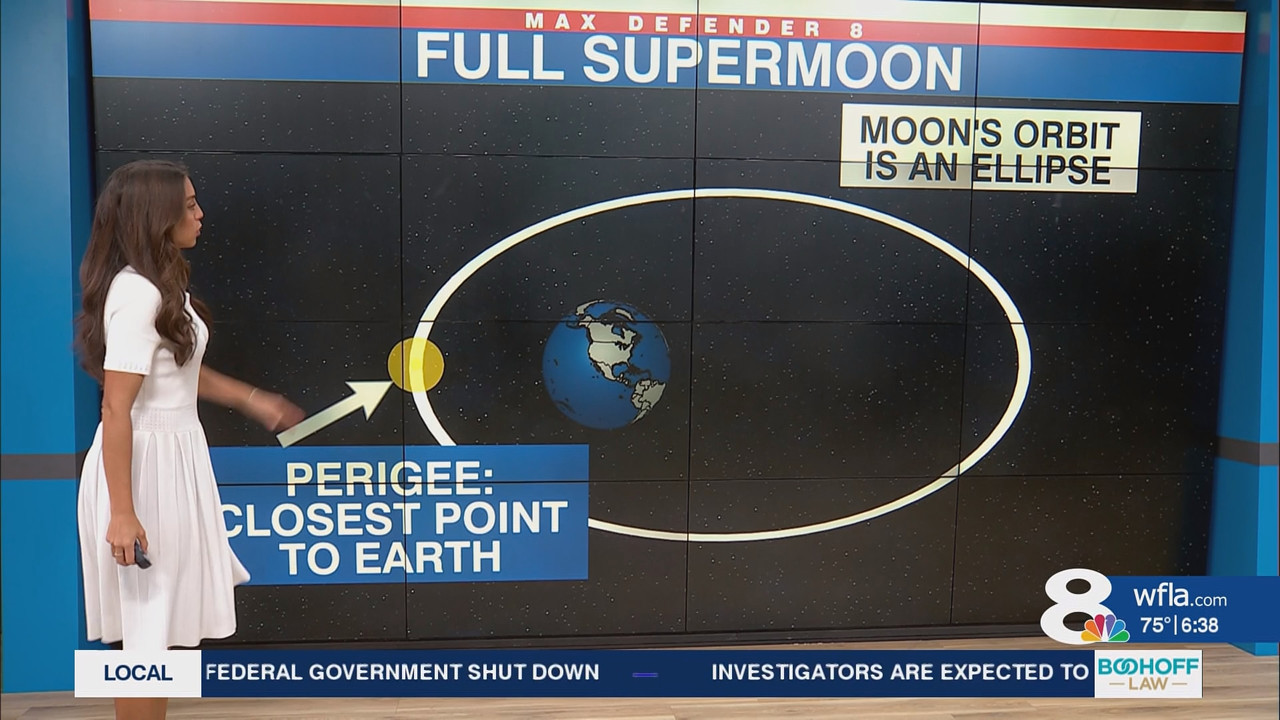 NewsChannel 8 Today at 6a_20251006_11001200.ts_snapshot_00.38.50.583