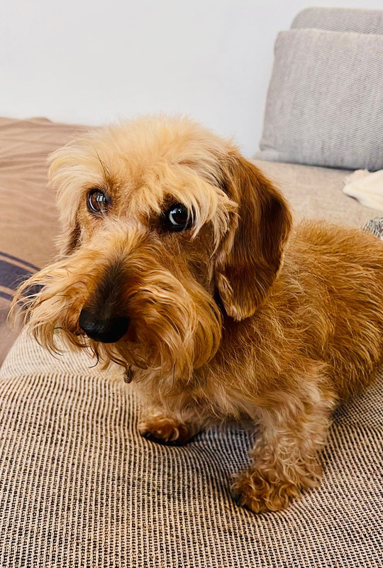 [Image: IMG-20220424-WA0001.jpg]