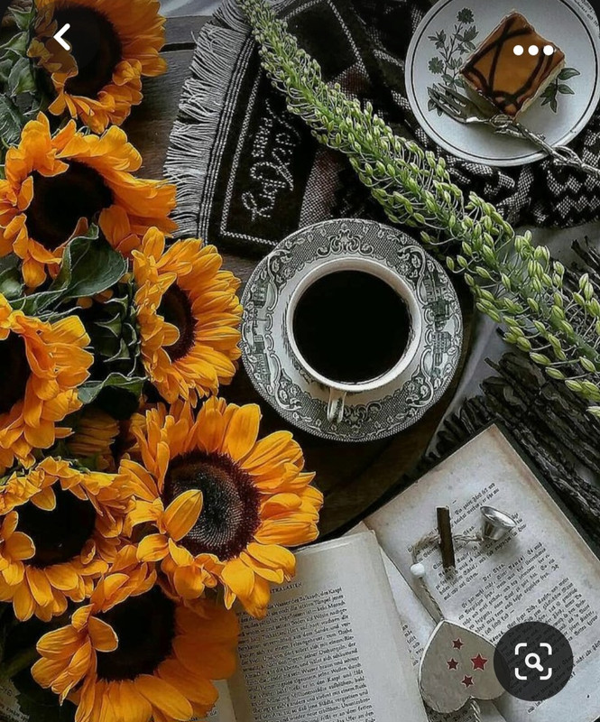 Screenshot_20230922_222537_Pinterest