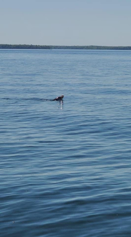 B1CD2863-4B32-4027-81FE-5D681FC993D0