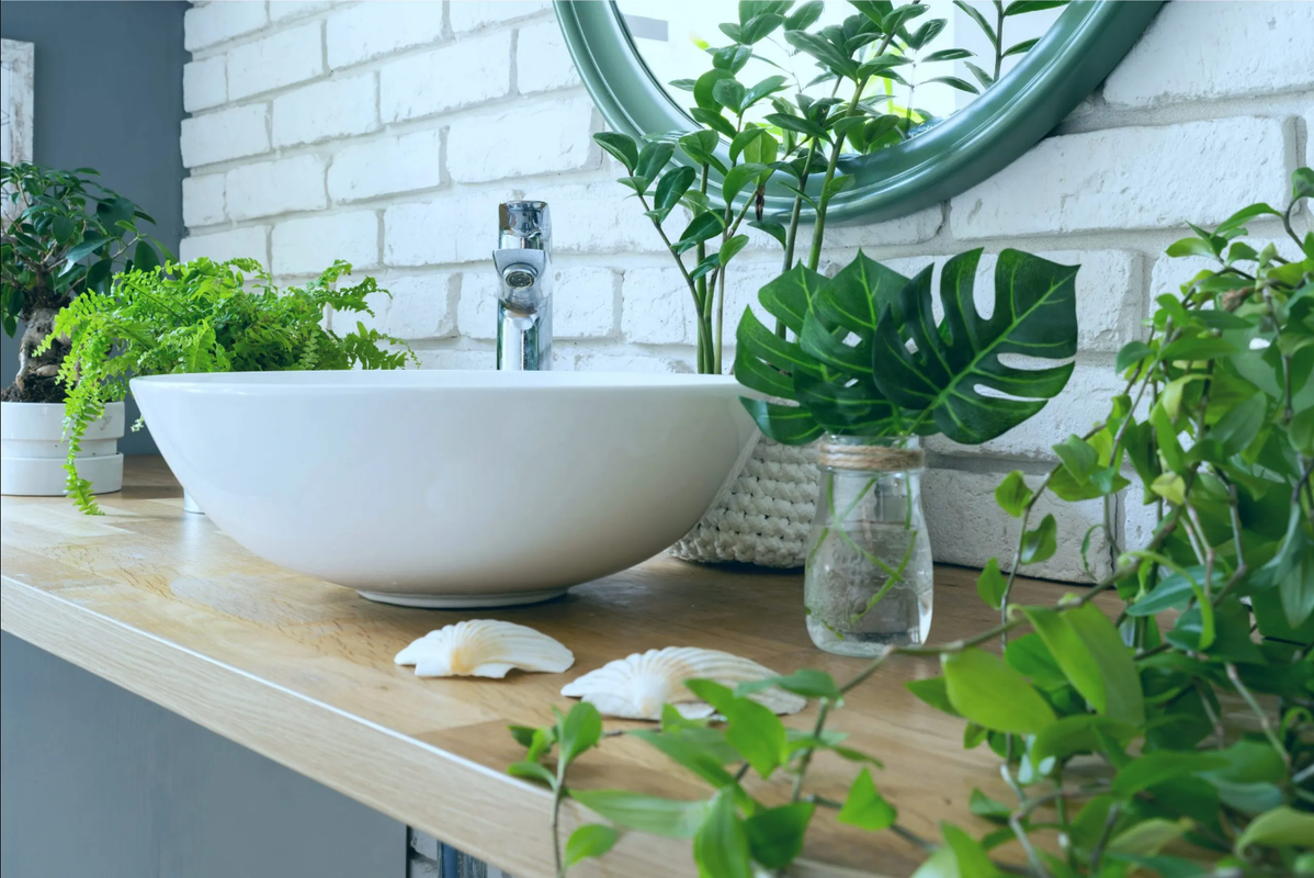 5 plantas para eliminar la humedad del baño