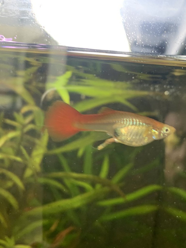 254108BC-205B-49F4-8843-53BC11A49AA0