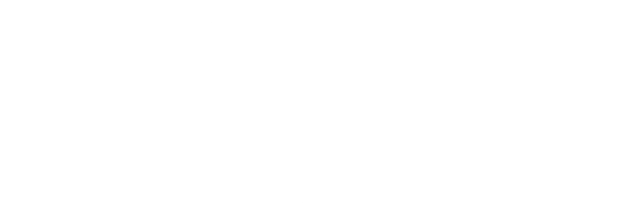 Systemelogo