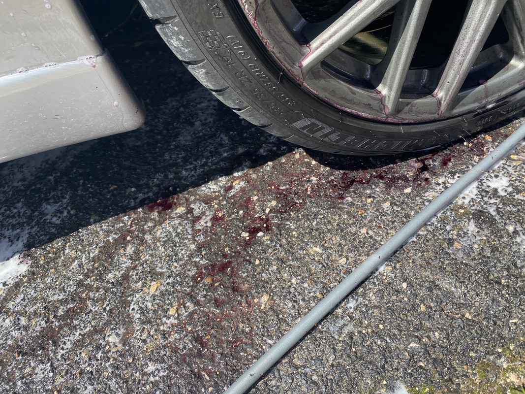 34FC0606-5B2C-4204-A8B1-F1851B0B22DE