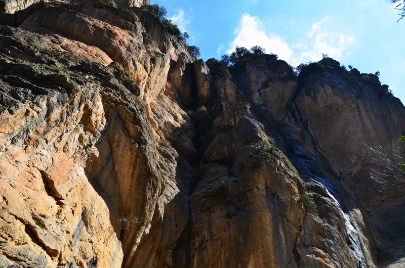 RUTA RIO BOROSA-12-3-2016-JAEN - Paseando por España-1991/2016 (104)
