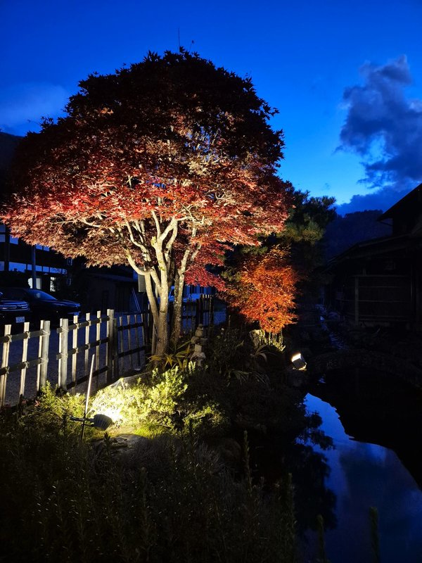 Aldea Histórica de Shirakawa-Go-14-11-2024 - Japón y sus Pueblos-2024 (44)