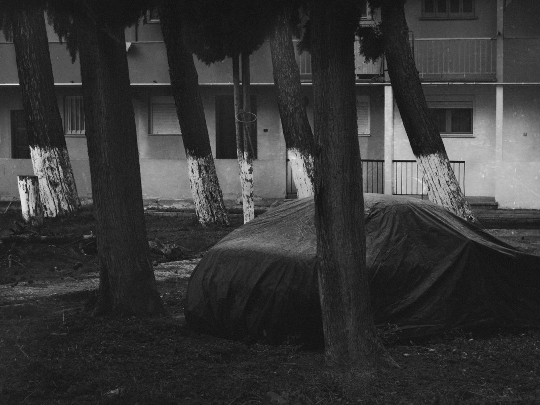 1-1-1-1-IMG_7222 (1)