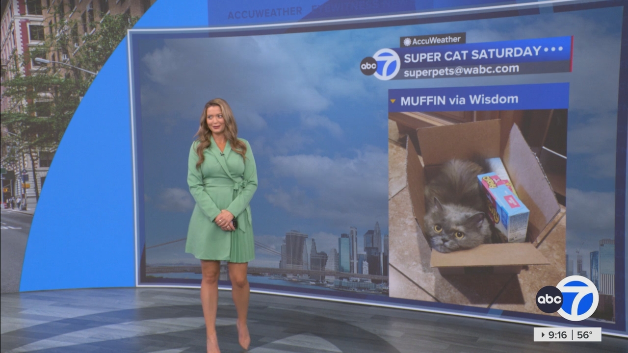 Eyewitness News This Morning_20250510_14001500.ts_snapshot_17.11.379