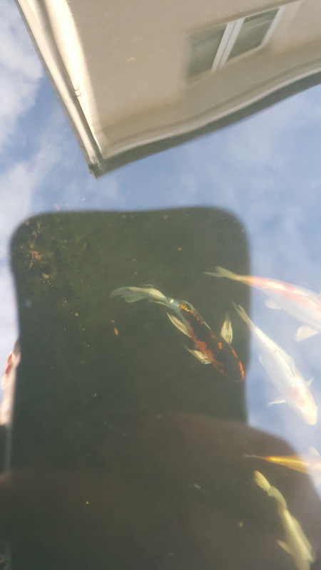 15026077734981159115584