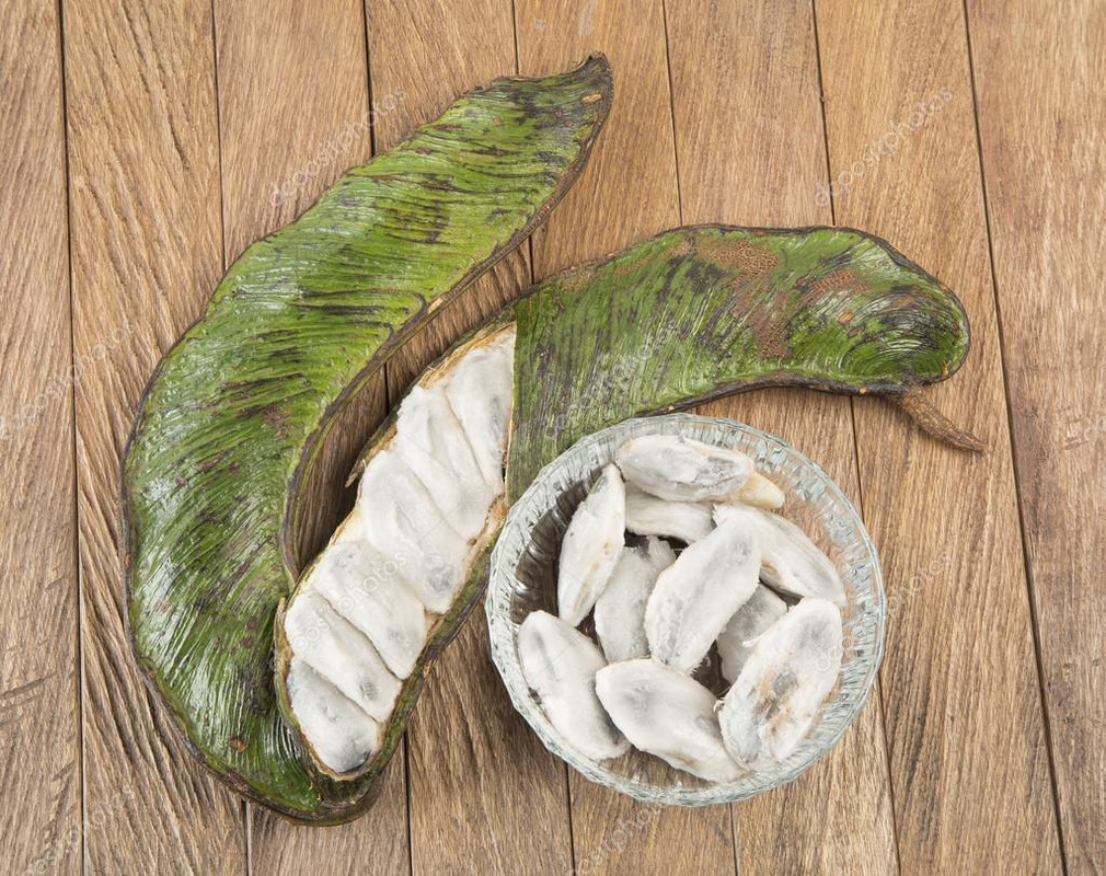 Ice Cream Bean Pods 2 — Postimages