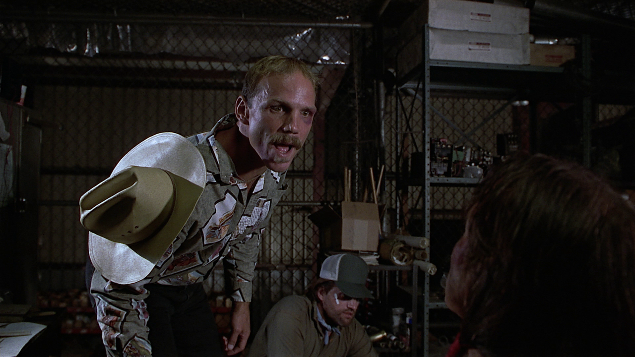 vlcsnap-2024-02-03-16h30m11s375