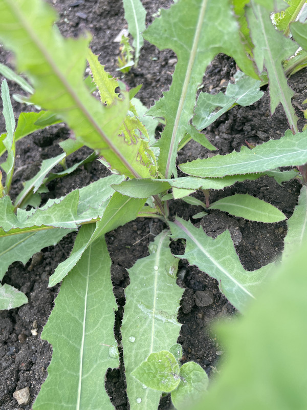 475A70CB-2193-4E5F-A55B-CF01AAE76846