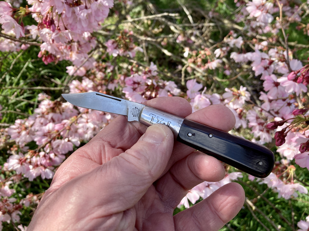 C47CC8FA-FE94-487E-9D28-AAF7DA6B38DF