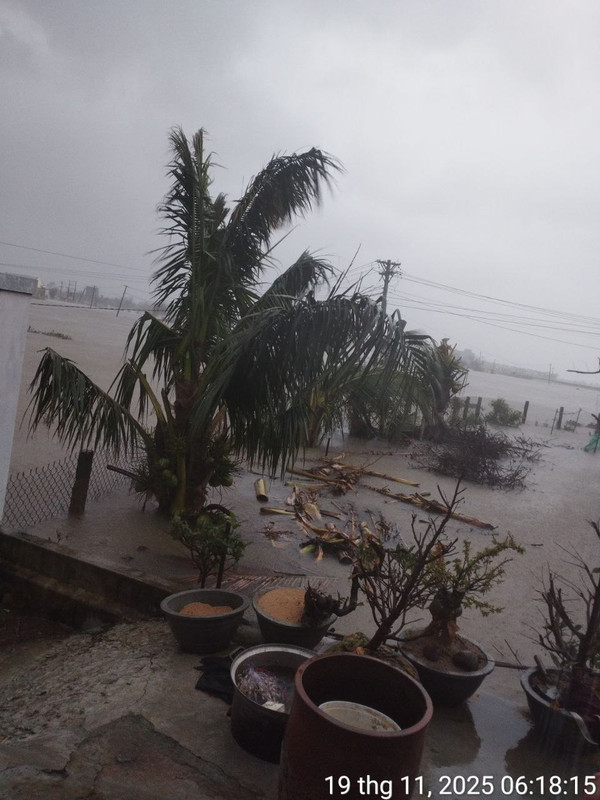 photo 2025 11 19 06 21 29