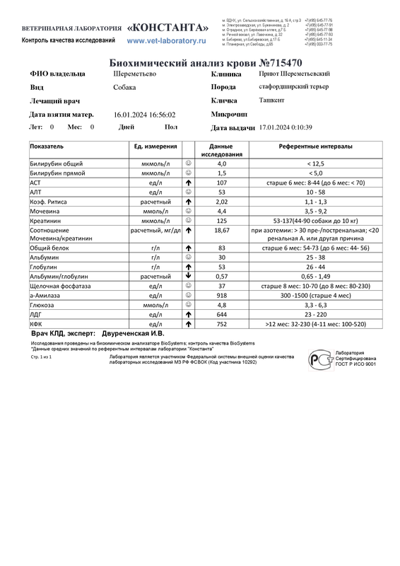 Биохимический анализ крови (715470)