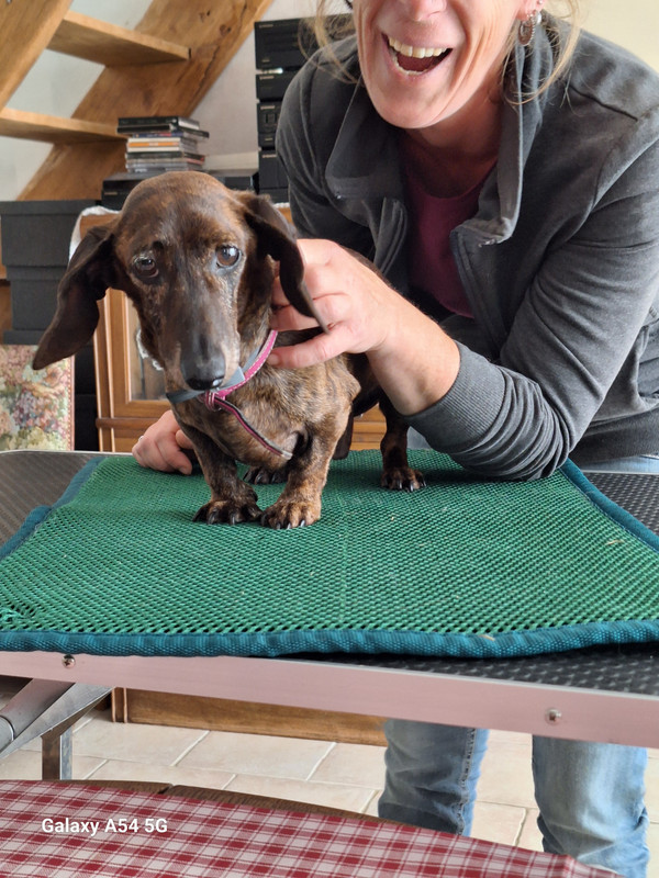 [Image: 20240702-165946.jpg]