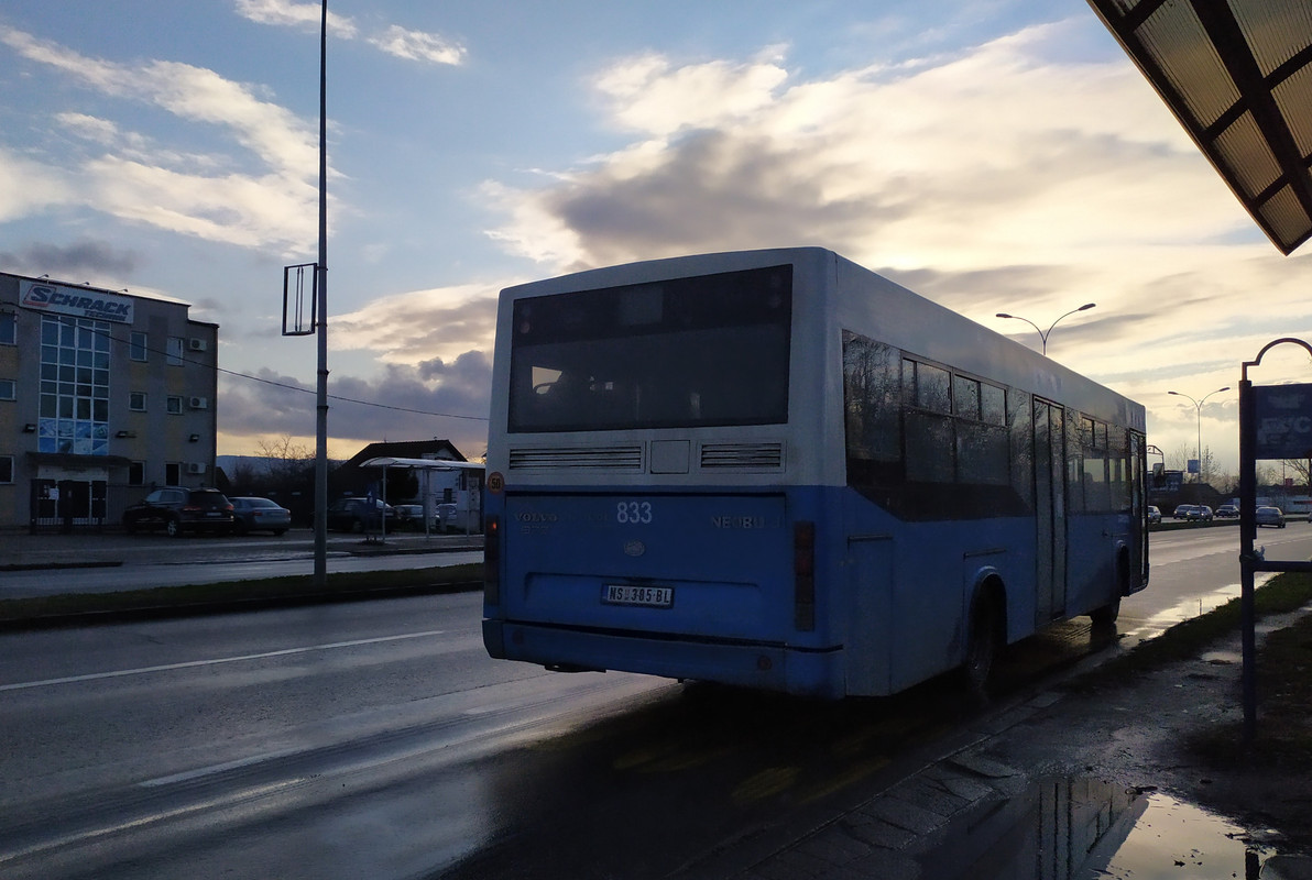 Neobus #833(1)