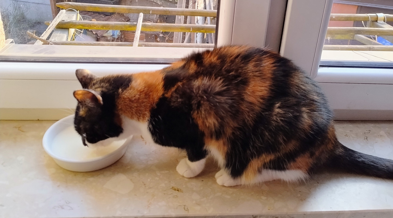 IMG 20260319 160111280 HDR AE