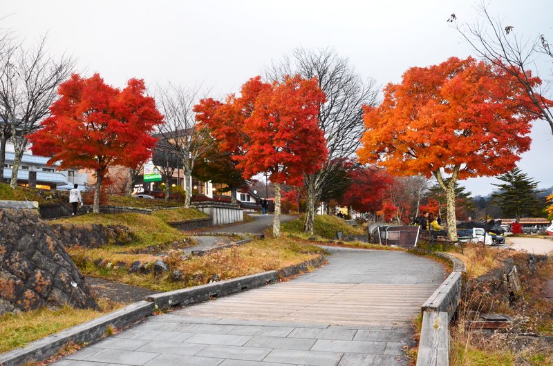 Abismo Kanmangafuchi-13-11-2024 - Japón y sus Pueblos-2024 (69)