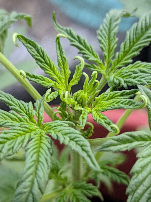 HC_20230205_174828_null