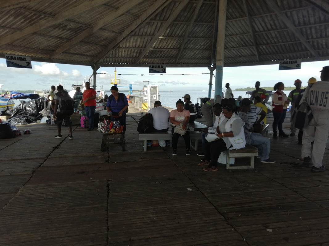 Colombia por libre en 18 días - Blogs de Colombia - Avistamiento de Ballenas en Buenaventura (1)