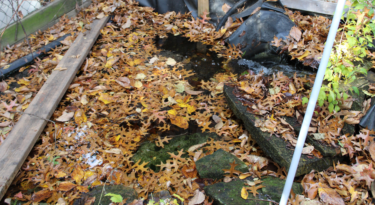IMG-2341.jpg