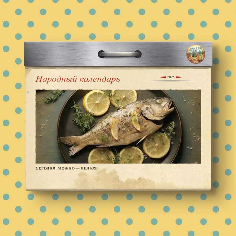 [Изображение: photo-2025-11-29-08-51-07.jpg]