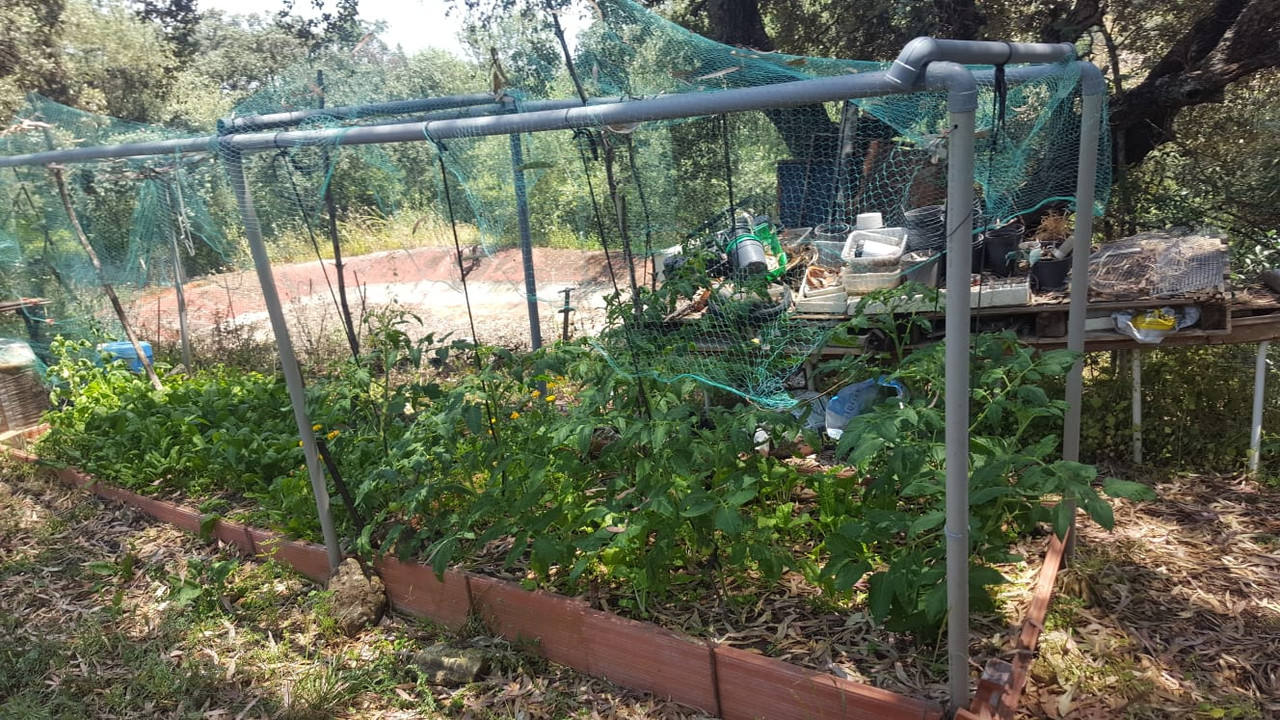 WhatsApp Image 2020-05-23 at 18.55.12 (1)