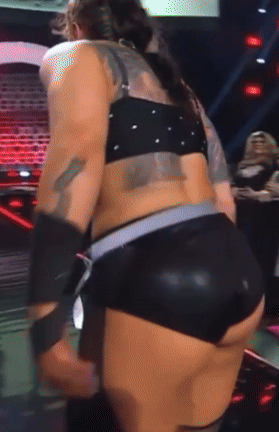 stackedlander14.gif