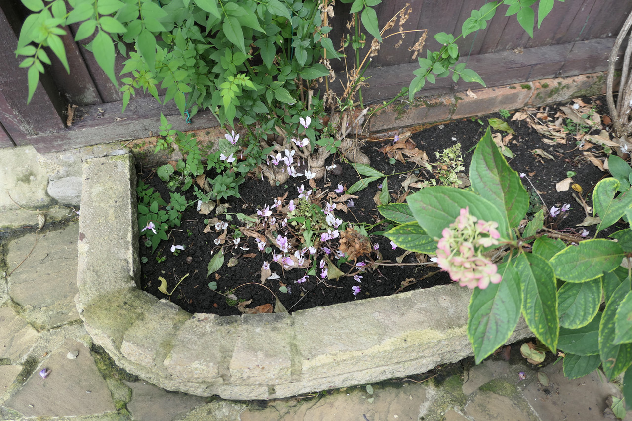 P1050088