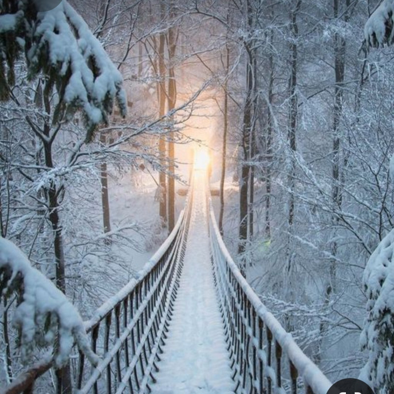 Screenshot_20231017_212639_Pinterest