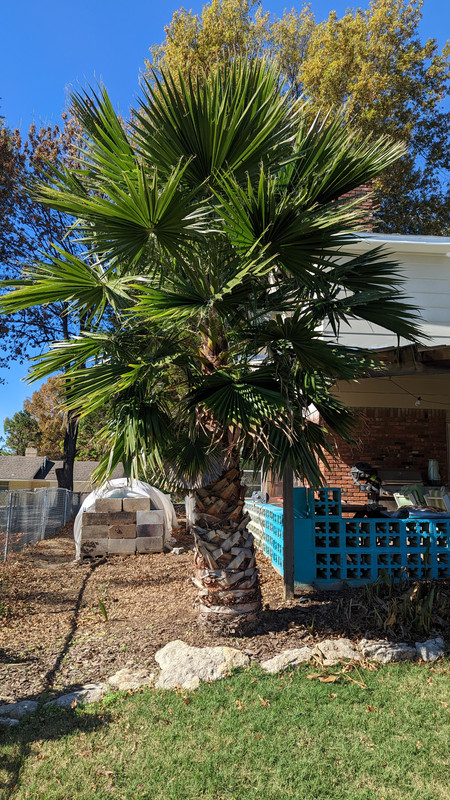 PXL_20221112_181124642