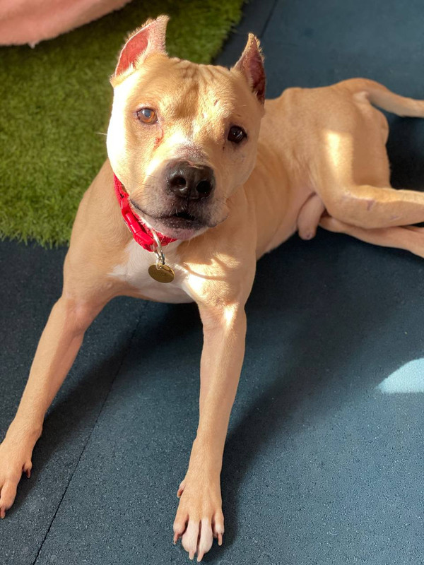 55919C73-9714-4E46-8FE4-0FE4469B8F28