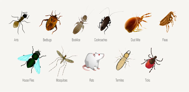 Agric1 2 Postimages