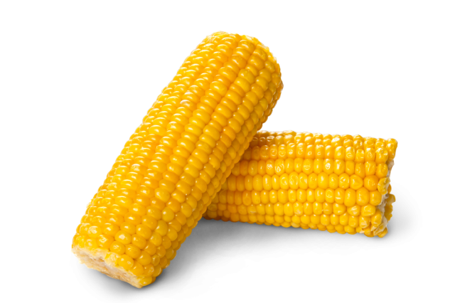 Sweet Corn