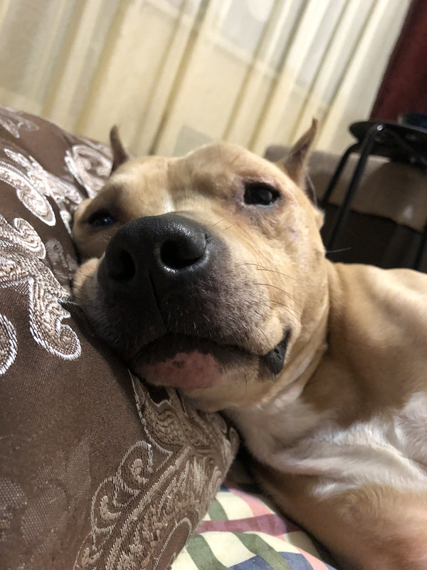 6F54964C-17DB-4B5F-AD78-3AD199AEA5E8