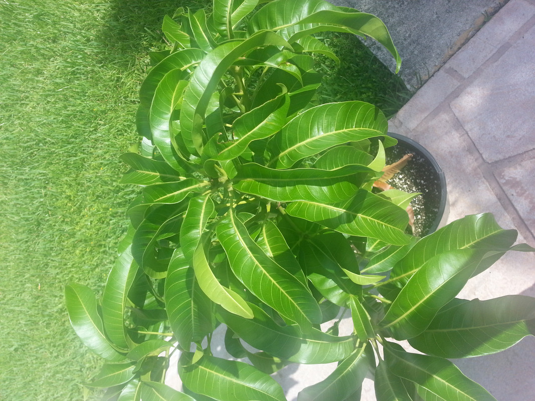 20140729_101441