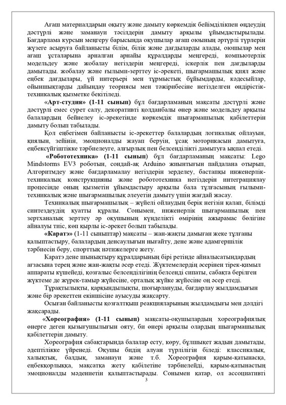 page-0003