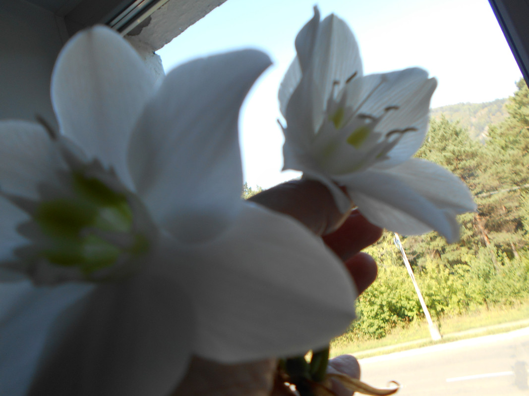 2014-12-31 17-00-00 (224)