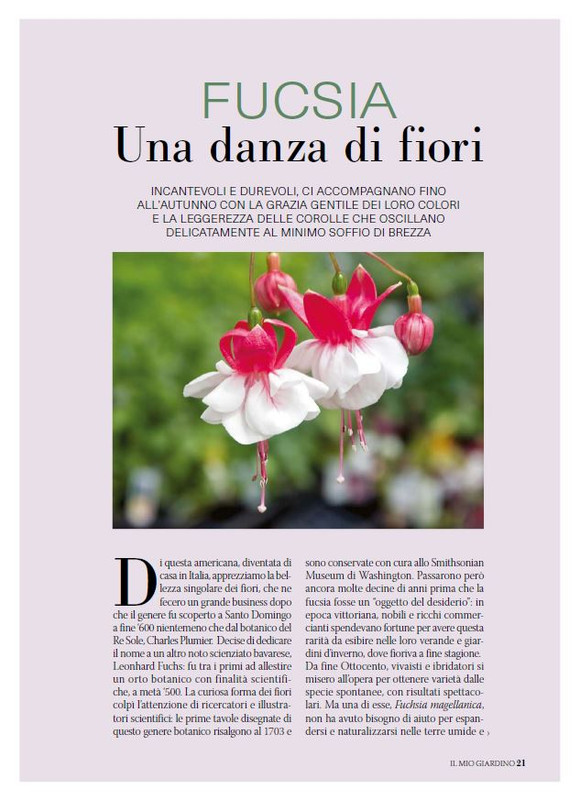 Il Mio Giar Giu-Lug 2025 (8)