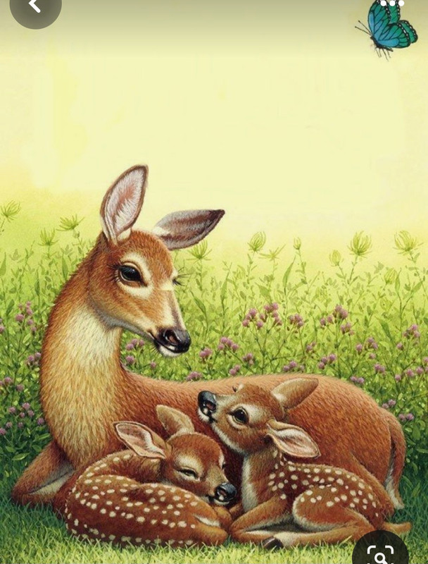 Screenshot_20240411_221540_Pinterest