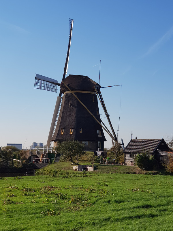 Pieter, De Hoge Molen 07 Nieuw-Lekkerland (Kinderdijk) 16-10-201
