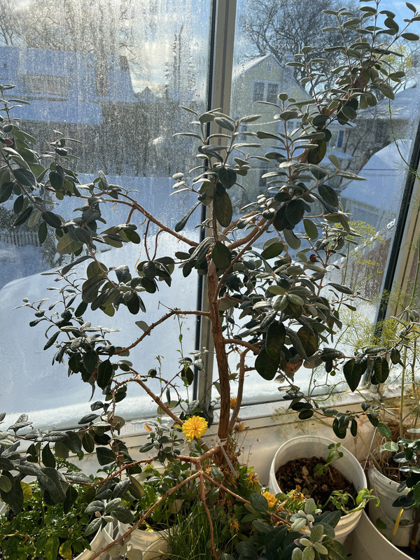 FD72E0C4-38C4-4014-B7F1-9582114DDDE7