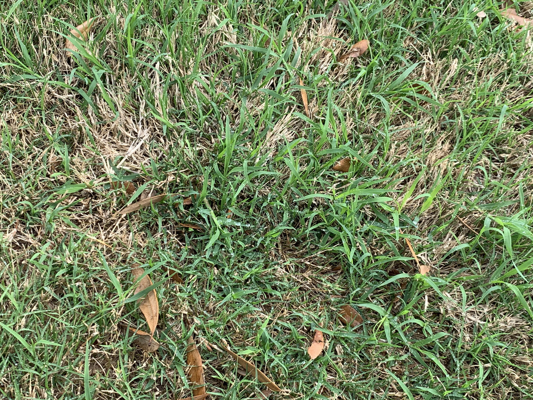 9915CB7C-4530-42A6-B56F-072E8100474A