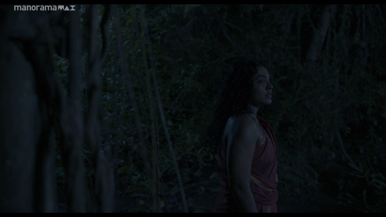 vlcsnap 2026 02 25 12h51m59s178