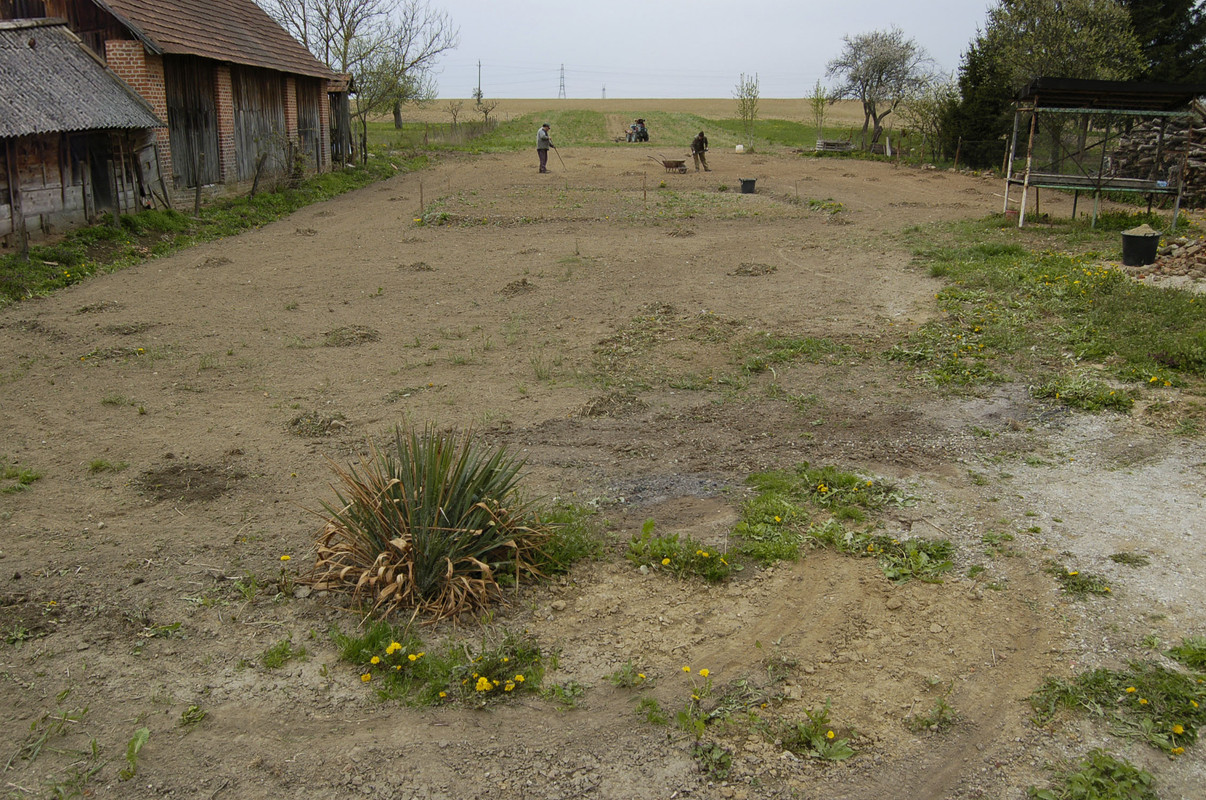 Gartenarbeit mit Míklos und Gábor1