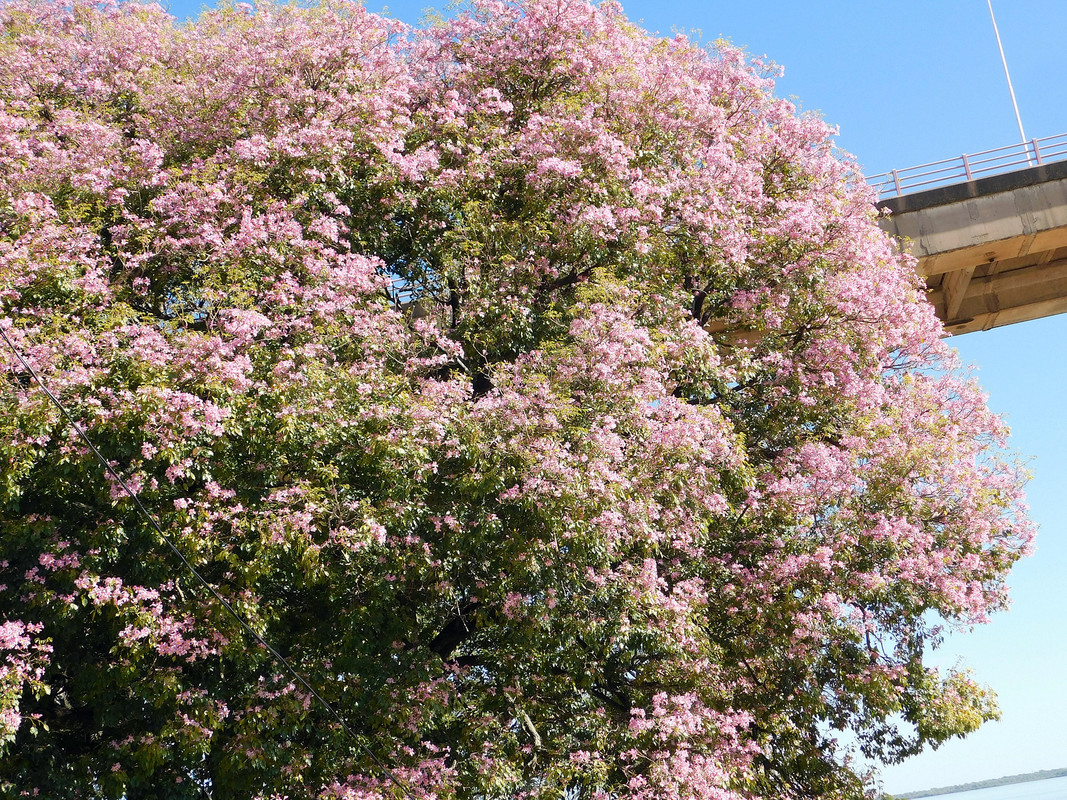 DSCN0192.jpg