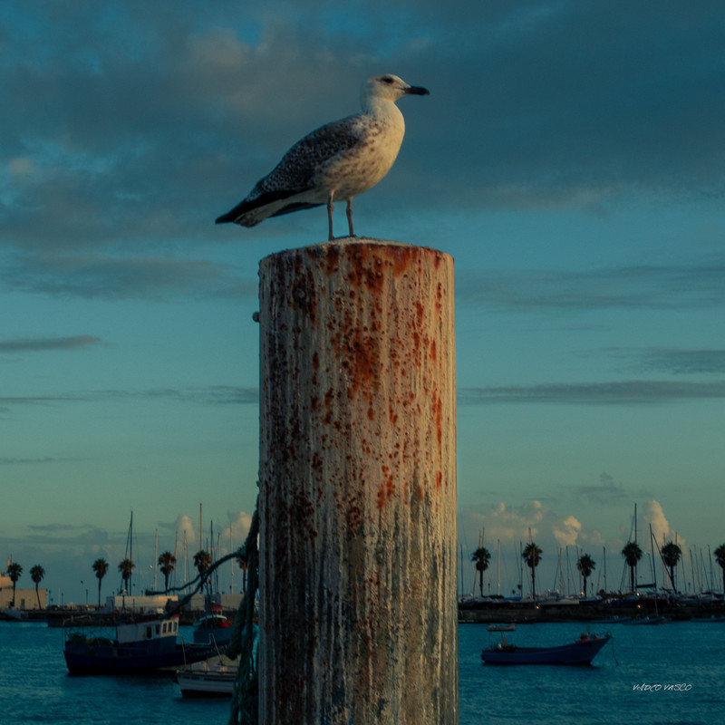 Hive-Cascais-Baia-06.jpg